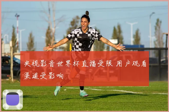 央视影音世界杯直播受限 用户观看渠道受影响