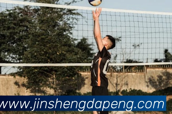 世界杯开户平台服务体系